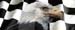 RacingFlagEagle